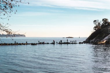 Whytecliff Park yakınındaki Horseshoe Bay West Vancouver, Bc, Kanada