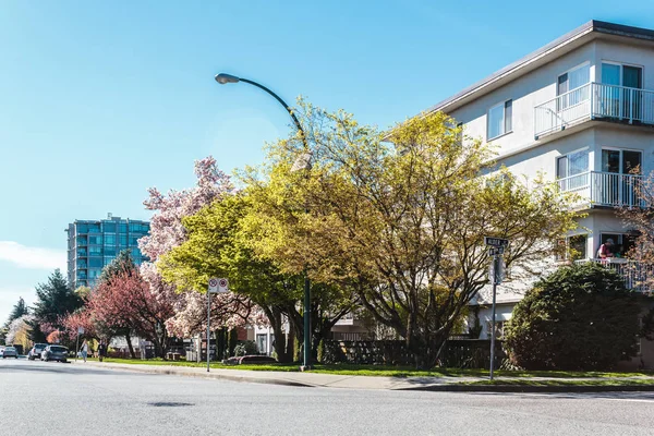 Wohnstraßen von vancouver, bc, canada — Stockfoto