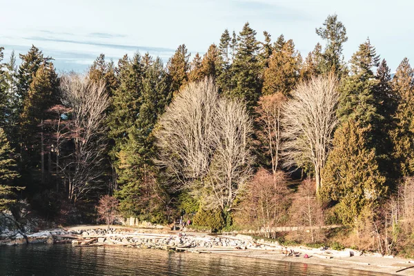 Whytecliff Park perto de Horseshoe Bay em West Vancouver, BC, Canadá — Fotografia de Stock