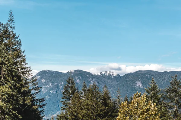 Bäume in der Nähe von Bruchfelsen bei North Vancouver, BC, Kanada — Stockfoto