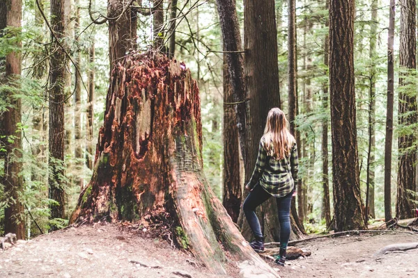 Chica en Baden Powell Trail cerca de Quarry Rock en el norte de Vancouver , — Foto de Stock