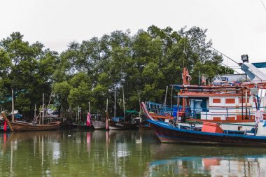Phuket Island, Tayland için uzun kuyruk tekneler