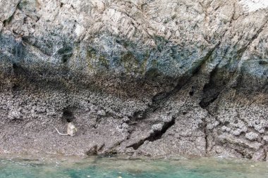 Phi phi Islands, Tayland