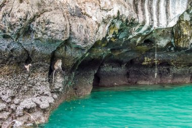 Phi phi Islands, Tayland
