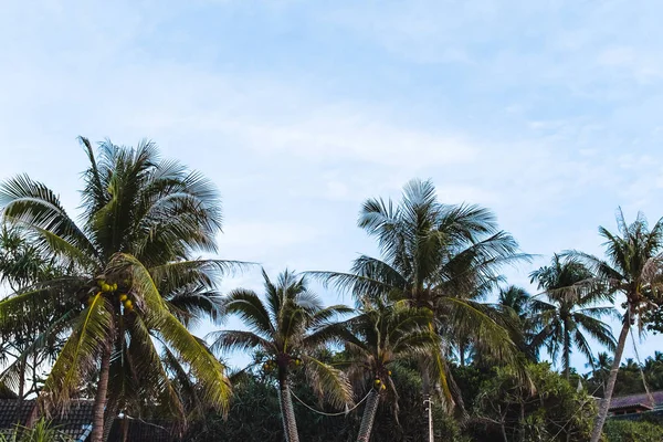 Playa de Karon en phuket island, Tailandia — Foto de Stock