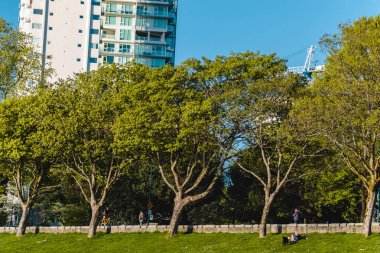 Vancouver, Bc, Kanada İngilizce koyda ağaçta