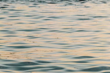 Desen doku yumuşak okyanus dalgaları