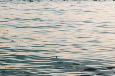 Desen doku yumuşak okyanus dalgaları