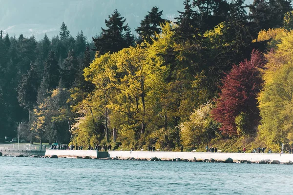 Stanley Park view från English Bay i Vancouver, Bc, Kanada — Stockfoto