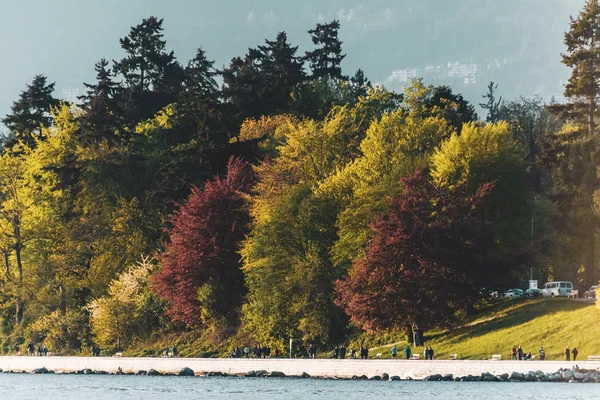 Stanley Park vista desde English Bay en Vancouver, BC, Canadá — Foto de Stock
