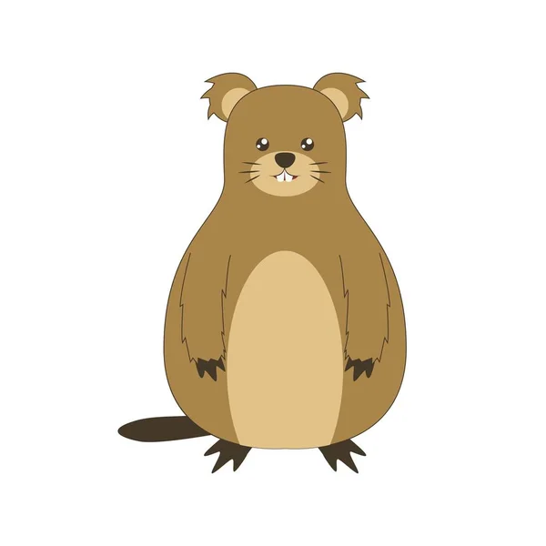 Cute Groundhog Illustration Happy Groundhog Day — Stock Vector