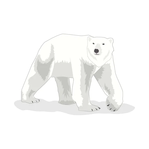 Ilustração Vetor Urso Polar Dia Internacional Urso Polar — Vetor de Stock