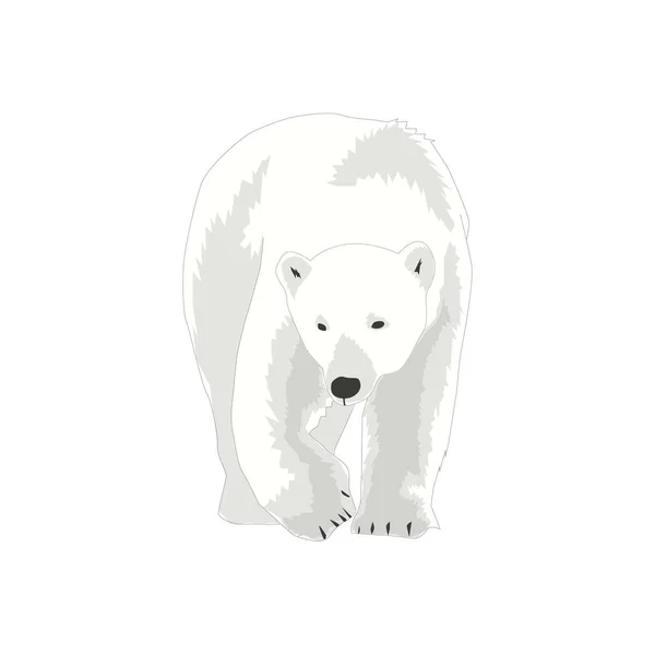 Ilustración Del Vector Del Oso Polar Día Internacional Del Oso — Archivo Imágenes Vectoriales