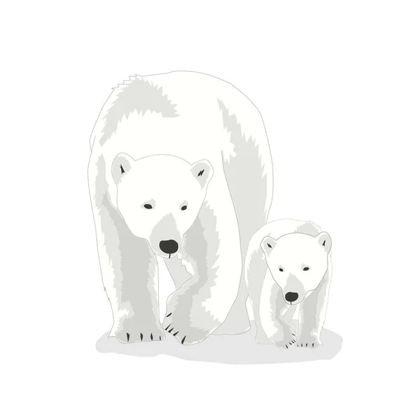 Illustration Polar Bear Vector International Polar Bear Day — Stock Vector