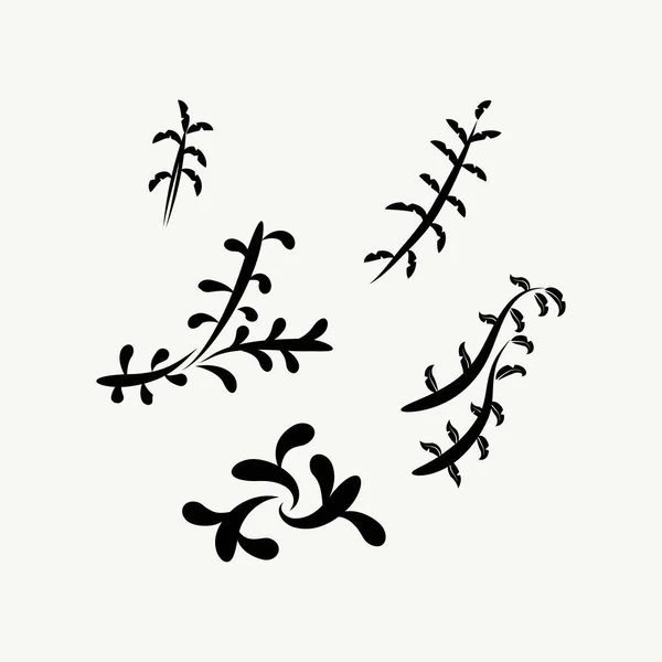 Variaties Van Bloemen Silhouet Decoratieve Ontwerpen — Stockvector