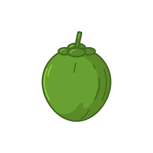 Illustration Der Grünen Kokosnuss Frisch Und Natürlich Mit Grüner Farbe — Stockvektor