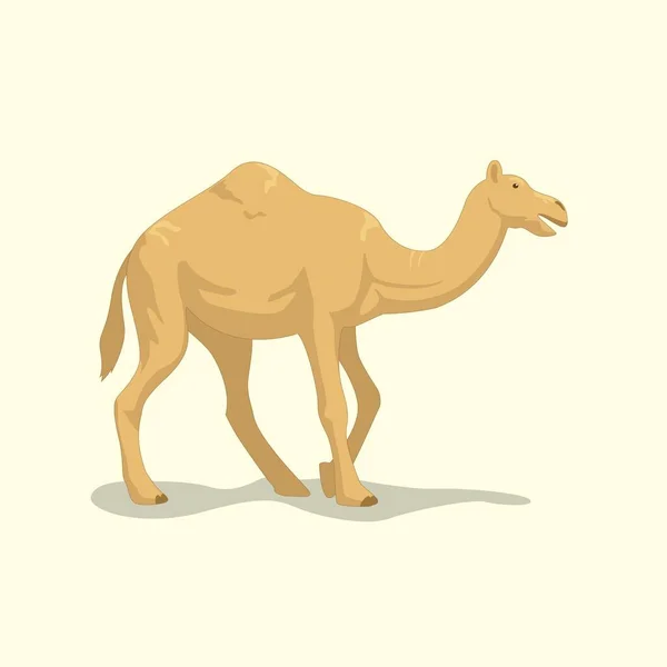 Ilustrace Brown Desert Camel Ilustrace Brown Desert Camel — Stockový vektor