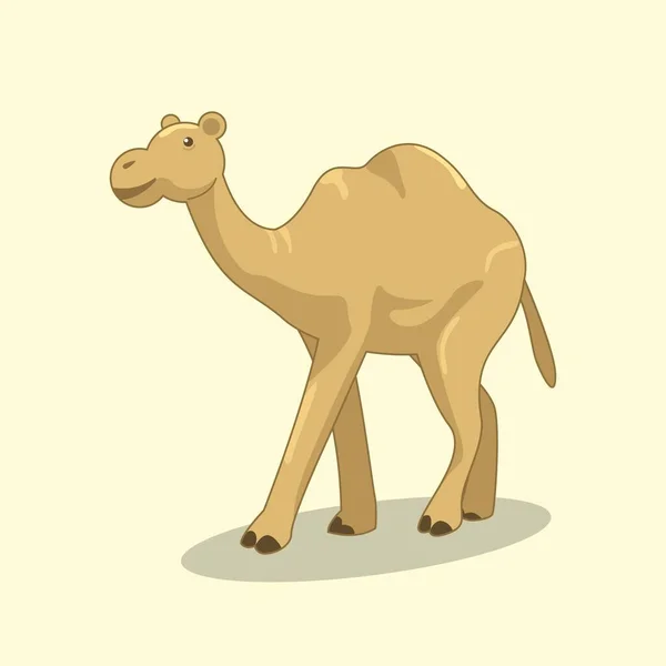 Ilustrace Brown Desert Camel Ilustrace Brown Desert Camel — Stockový vektor
