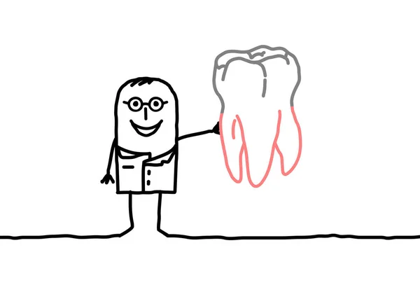 Стоматолог с большим зубом — стоковое фото