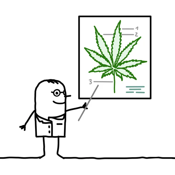 Doctor de dibujos animados mostrando una hoja de cannabis — Vector de stock