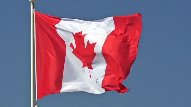 Bandera canadiense ondeando en el viento, cámara lenta — Vídeos de Stock