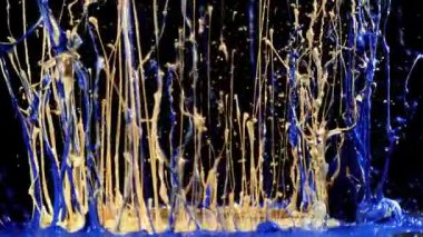 Mavi ve sarı boya atlama ve dans siyah arka plan, ağır çekim