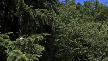 Kel kartal şubesinden kalktıktan
