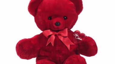 Kırmızı oyuncak ayı Saint Valentine's Day, gerçek zamanlı 4k, hareketli görüntü için
