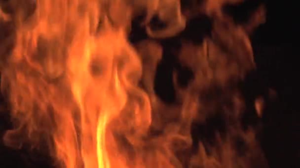 Fogata, llamas de fuego en fogata, camping en Botswana, cámara lenta — Vídeos de Stock