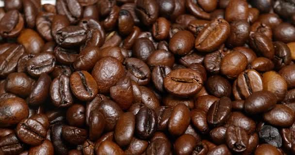 Падение кофейных зерен — стоковое видео