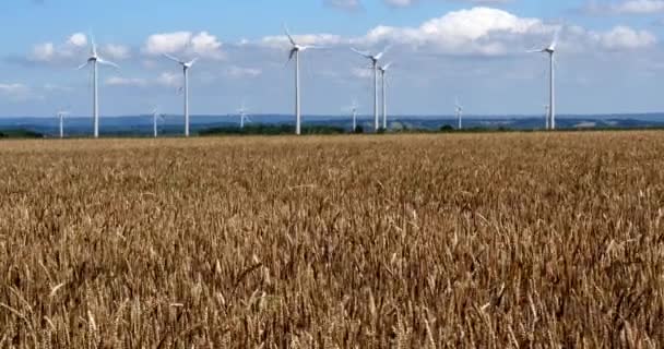 Turbiny wiatrowe na błękitnym niebie — Wideo stockowe