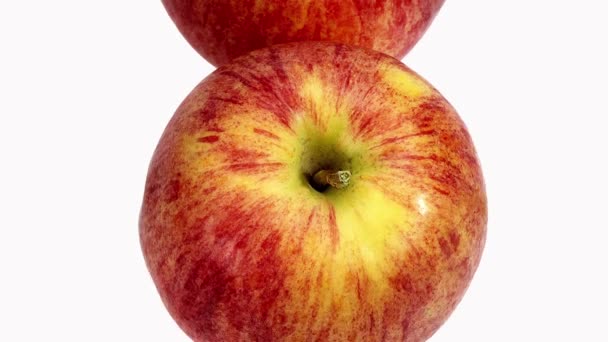 Королевский Гала яблоко, malus domestica, фрукты на белом фоне, режиме реального времени 4k, движущегося изображения 850109h Lacz Жерар — стоковое видео
