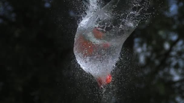 Schot breken water gevuld oranje ballon, slow-motion — Stockvideo