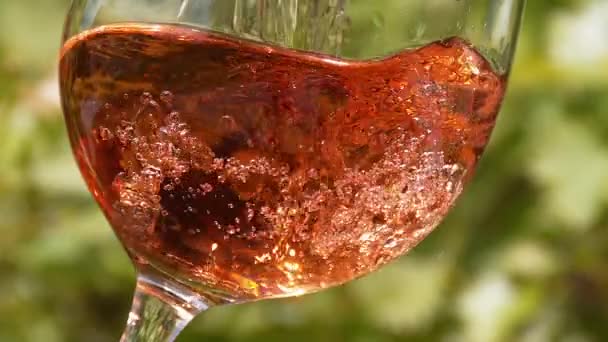 Hälla rosa vin i glas — Stockvideo