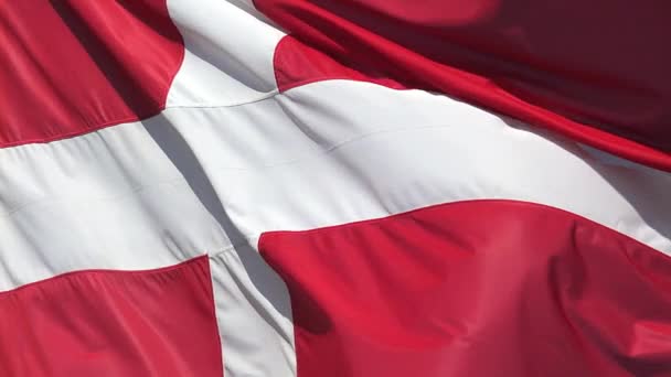 Denmark Flag Waving in the Wind, Slow Motion — Stock Video