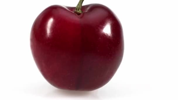 Bigarreau cherry, ein französisches Exemplar, vor weißem Hintergrund, Echtzeit 4k, bewegliches Bild — Stockvideo