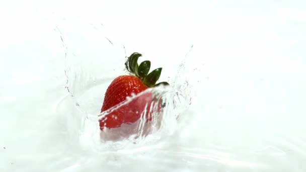 Fresa cayendo en el agua — Vídeo de stock