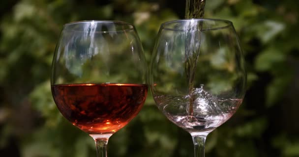 Vino rosa que se vierte en un vaso — Vídeo de stock