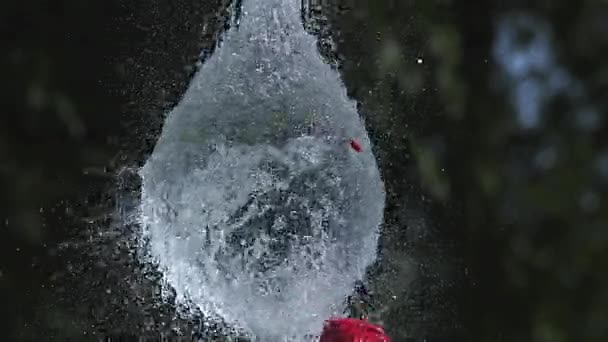 Disparo rompiendo el agua llena globo rojo, cámara lenta — Vídeos de Stock