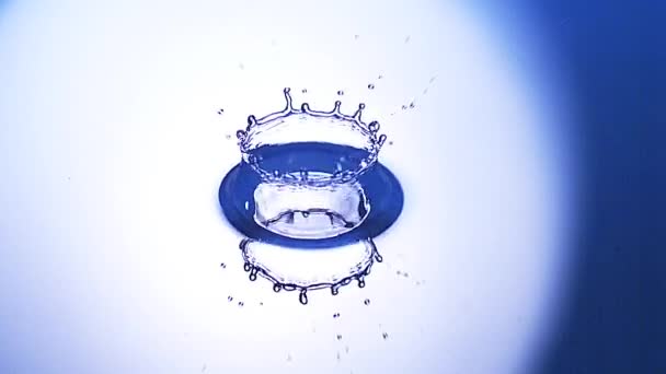 Spada kropla wody — Wideo stockowe
