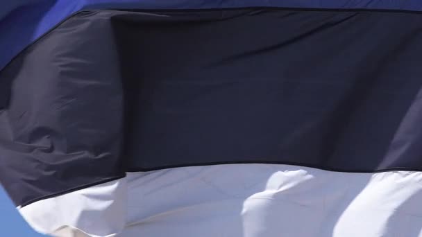 Εσθονία σημαία που κυματίζει στον αέρα, αργή κίνηση — Αρχείο Βίντεο
