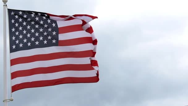 Bandiera americana sventola nel vento, movimento lento — Video Stock