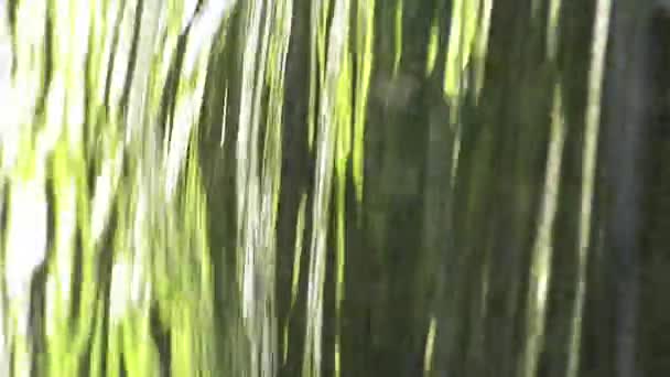 滝 neaf スローモーションの東フランスのストラスブール、アルザス — ストック動画