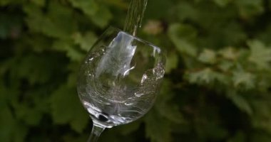 Cam içine dökme Pembe şarap