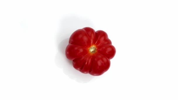 Помидоры камона, Solanum lycopersicum, Овощи на белом фоне, в реальном времени 4K, движущееся изображение — стоковое видео