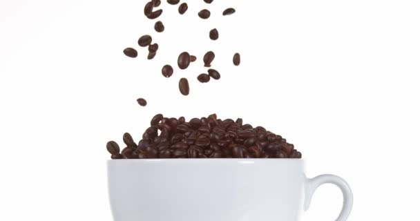 Кофейные зерна падают в чашку — стоковое видео