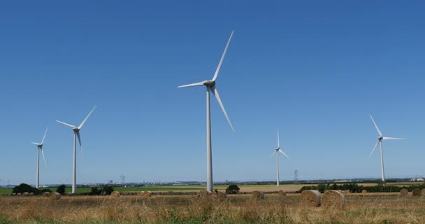 Turbiny wiatrowe na błękitnym niebie — Wideo stockowe