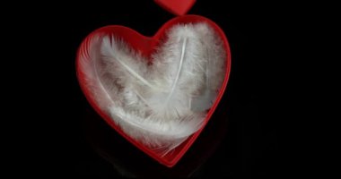 Kırmızı kalp ve tüyler Saint Valentine's Day, yavaş hareket 4k için