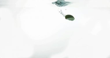 Sarı limon, citrus limonum ve yeşil limon, narenciye aurantifolia, beyaz arka plan, yavaş hareket 4 k suya düşen meyve