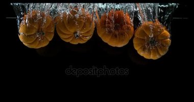 Cüce kabak, cucurbita pepo, siyah arka plan, yavaş hareket 4k suya düşen meyve